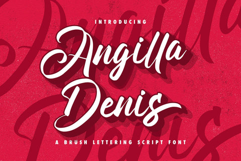 Angilla Denis - Brush Script Font Font StringLabs 