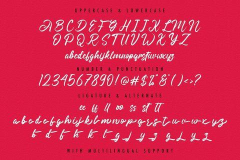 Angilla Denis - Brush Script Font Font StringLabs 