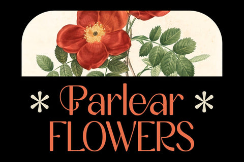 Angkola Typeface Font Storytype Studio 