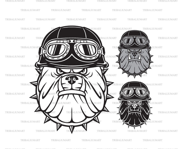 Angry biker bulldog head with motorcycle helmet with goggles SVG TribaliumArtSF 