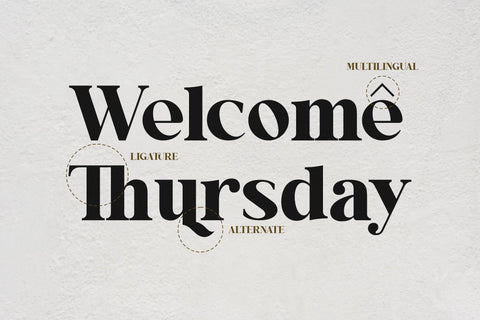 Anilez Typeface Font Storytype Studio 