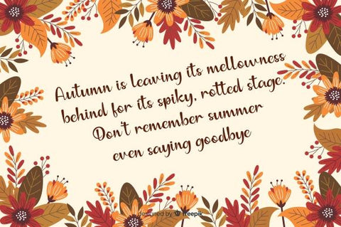 anilupa Font eknojistudio99 