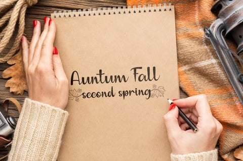 anilupa Font eknojistudio99 