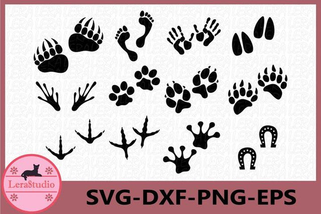 Animals Paw Svg SVG Lerastudio 