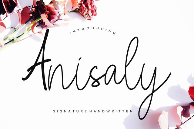 Anisaly Script Font Creatype Studio 