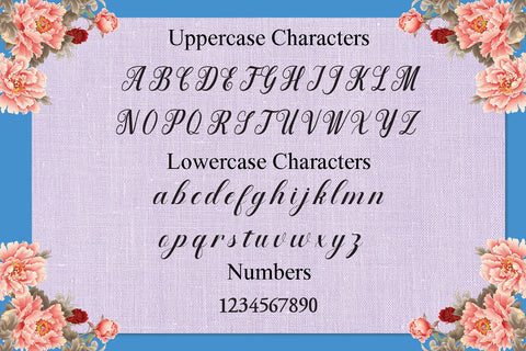 anitta Font Rtceative 