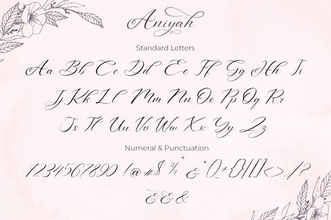 Aniyah Script Font Din Studio 