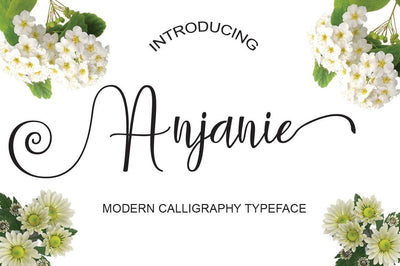 Anjanie Font Naqsya.Co