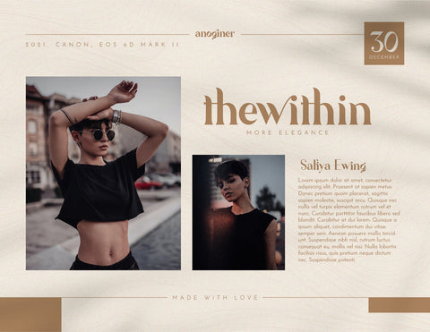 Anoginer Modern Serif Font Font inferno.studio3 