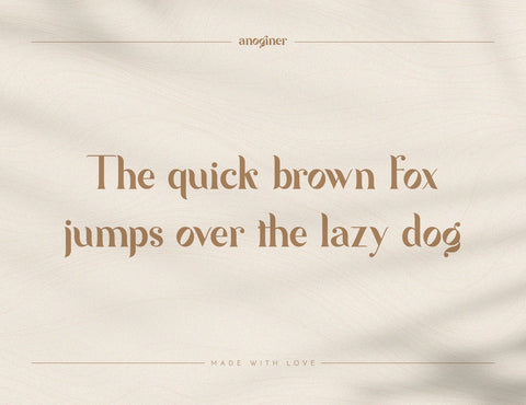 Anoginer Modern Serif Font Font inferno.studio3 