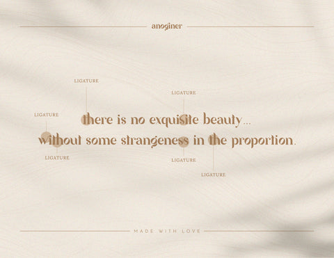 Anoginer Modern Serif Font Font inferno.studio3 