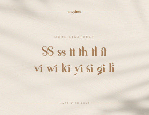 Anoginer Modern Serif Font Font inferno.studio3 