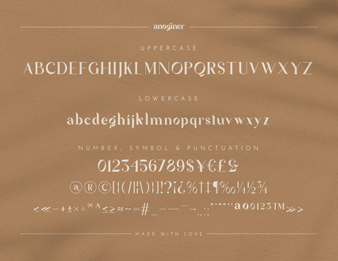 Anoginer Modern Serif Font Font inferno.studio3 