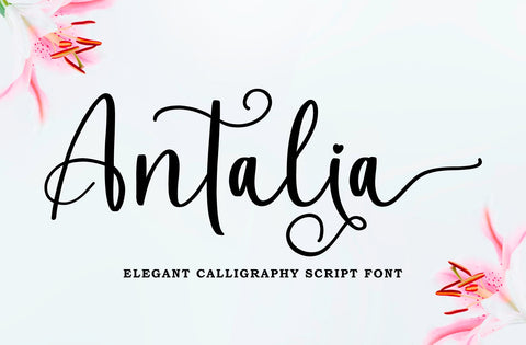 Antalia - Calligraphy Font Font Yuby 