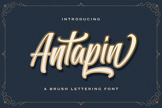 Antapin - Bold Script Font Font StringLabs 