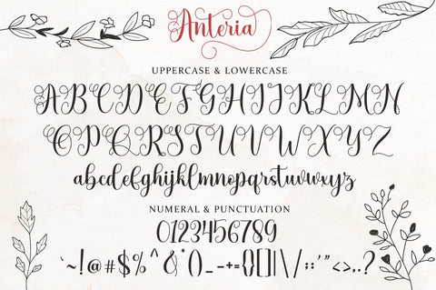 Anteria Script Font Rotterlab studio 