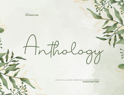 Anthology Script Signature Font inferno.studio3 