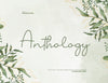 Anthology Script Signature - So Fontsy
