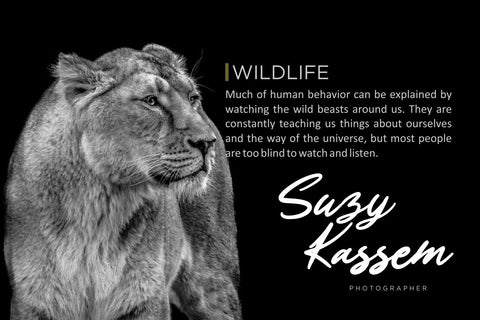 Anthony Handwritten Signature Font Creatype Studio 