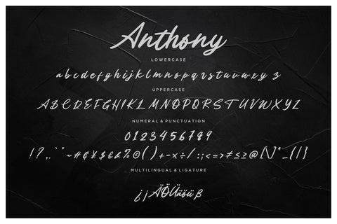Anthony Handwritten Signature Font Creatype Studio 