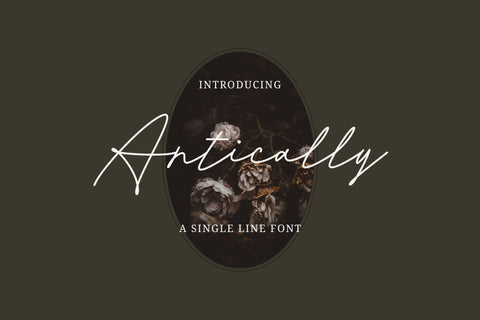 Antically - a Single Line Font Font nhfonts 