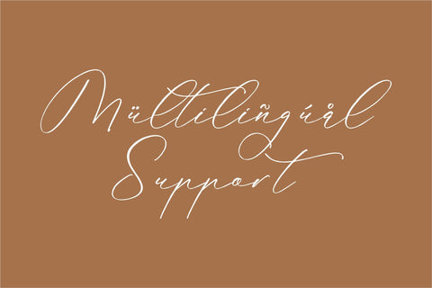 Anticka Whitnes - Beauty Script Font Font Storytype Studio 