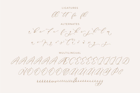 Anticka Whitnes - Beauty Script Font Font Storytype Studio 