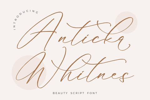 Anticka Whitnes - Beauty Script Font Font Storytype Studio 