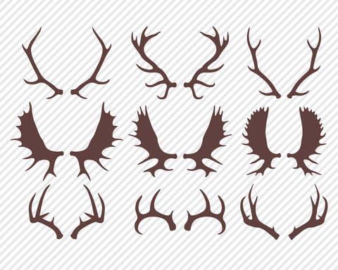 Antler Super Bundle | Outdoor SVG SVG Texas Southern Cuts 