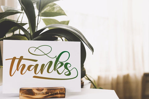 Antonega Font JoeCreative 