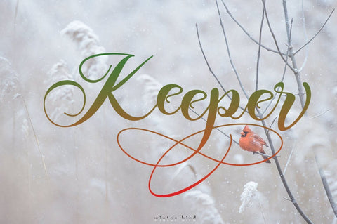 Antonega Font JoeCreative 