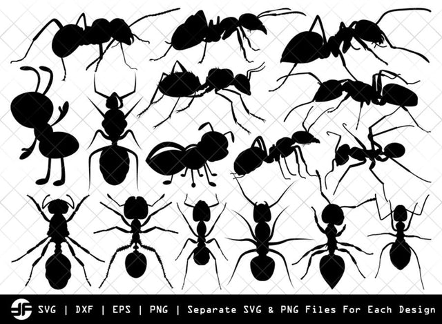 Ants Silhouette SVG Cut File | Ant Svg | Bug Svg | Insect Svg Bundle SVG ETC Craft 