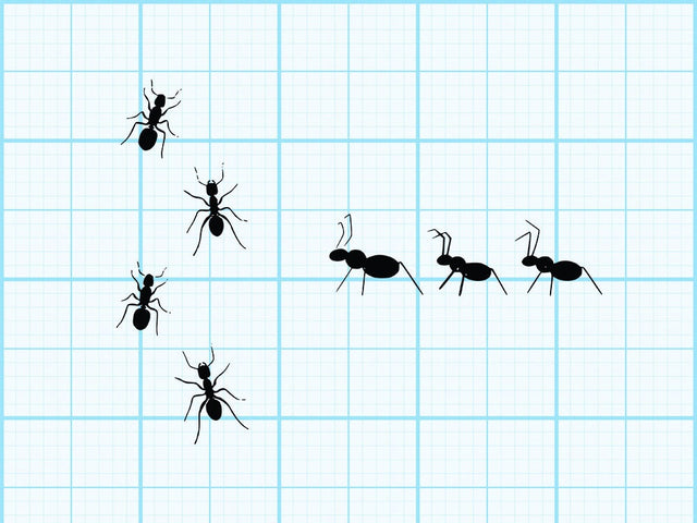 Ants Sugar Svg SVG Johan Ru designs 