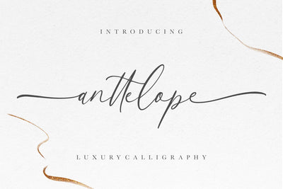 Anttelope Luxury Calligraphy Font Creatype Studio 