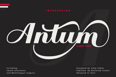 Antum - Vintage Bold Script Font Rotterlab studio 