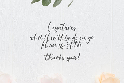 Anythings - Modern Calligraphy Font Font StringLabs 
