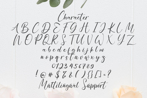Anythings - Modern Calligraphy Font Font StringLabs 