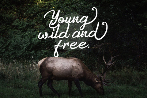 Anzim - Signature Script Font Font StringLabs 