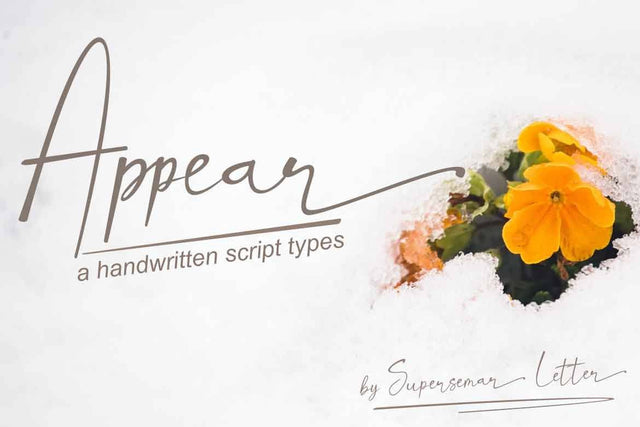 Appear Font Supersemar Letter 