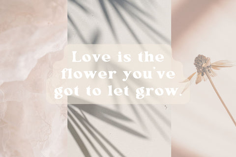 Apple Hill Duo Font Cotton White Studio 