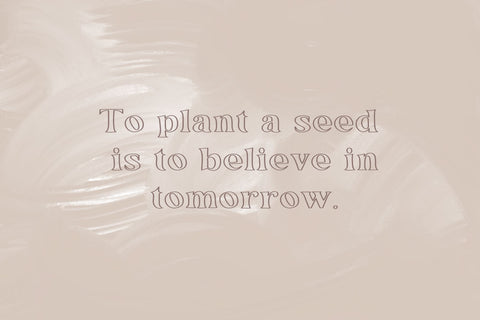 Apple Hill Duo Font Cotton White Studio 