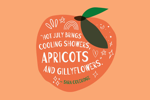 Apricot Jam Font Cotton White Studio 