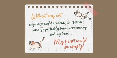 Apricotsy Font Allouse.Studio 