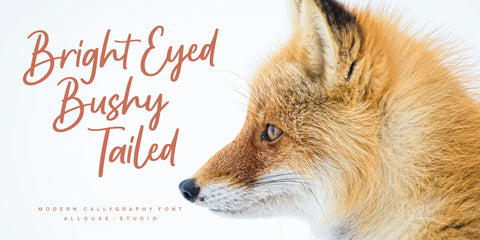 Apricotsy Font Allouse.Studio 