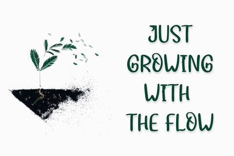 Aragel Font twinletter 