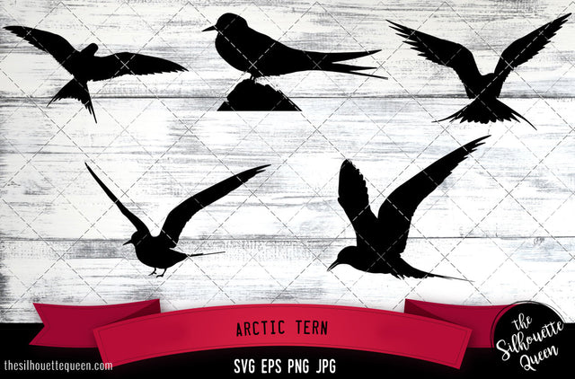 Arctic Tern Silhouette Vector SVG SVG Loveleen Kaur 