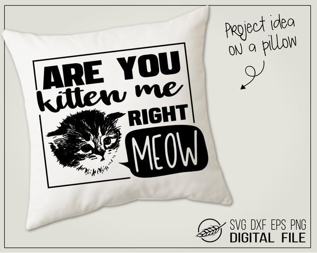 Are you kitten me - Funny SVG cut file SVG Boertiek 