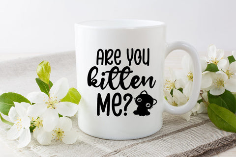 Are You Kitten Me I Pet SVG I Pet Quotes SVG I Cat SVG SVG Happy Printables Club 