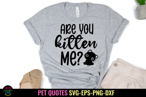 Are You Kitten Me I Pet SVG I Pet Quotes SVG I Cat SVG SVG Happy Printables Club 