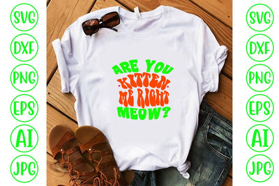 Are You Kitten Me Right Meow Retro SVG SVG Syaman 